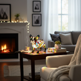 Elegáns Boston Terrier Kutya