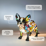 Elegáns Boston Terrier Kutya